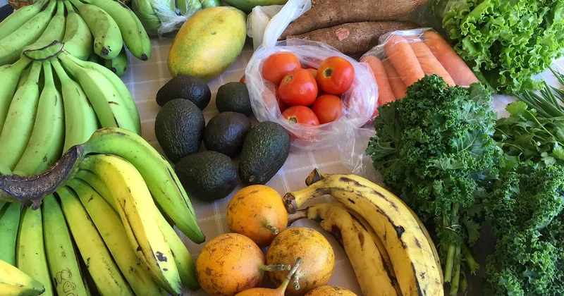 Les familles d’aliments associées à une réduction des marqueurs inflammatoires