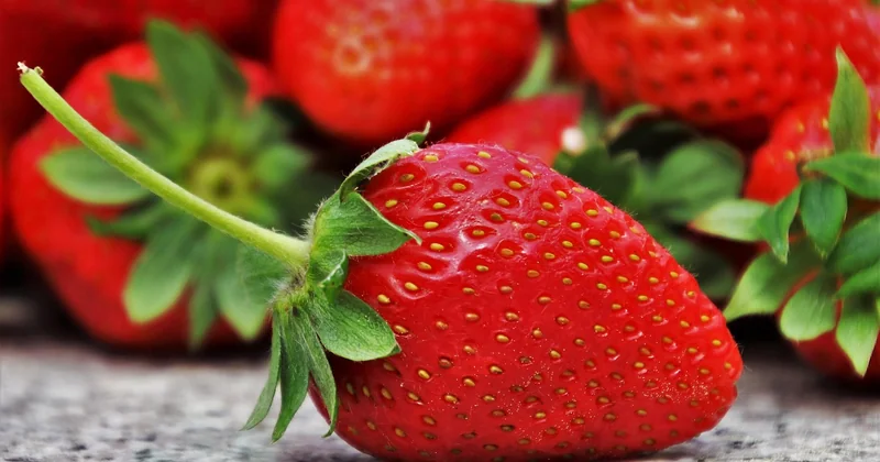 Les mécanismes réels derrière les aliments dits anti-âge